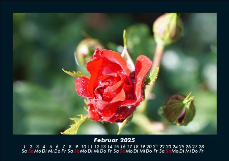 InsideView 6