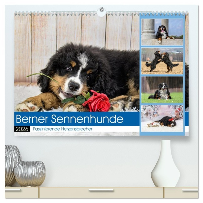Berner Sennenhunde - Faszinierende Herzensbrecher (hochwertiger Premium Wandkalender 2026 DIN A2 quer), Kunstdruck in Hochglanz - Jana K. Fotografie