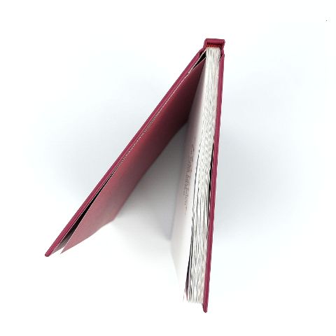 InsideView 5