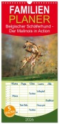 Familienplaner 2026 - Belgischer Schäferhund - Der Malinois in Action mit 5 Spalten (Wandkalender, 21 x 45 cm) CALVENDO - Tanja Brandt
