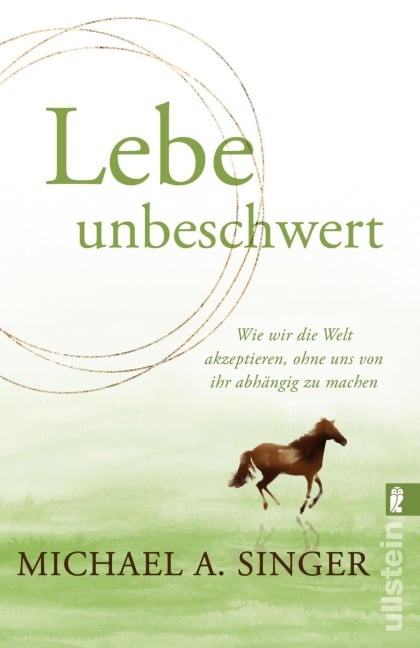 Lebe unbeschwert - Michael A. Singer