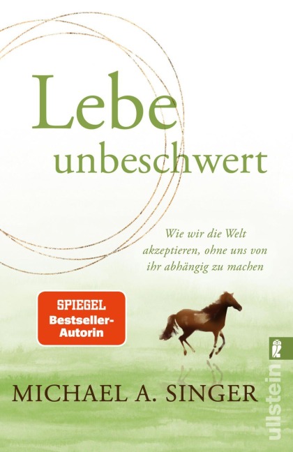 Lebe unbeschwert - Michael A. Singer