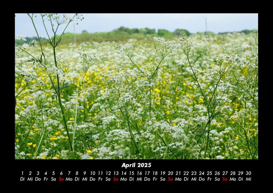 InsideView 8