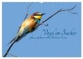 Vögel im Sucher (Wandkalender 2024 DIN A2 quer), CALVENDO Monatskalender - Andreas Basse
