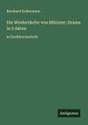Cover-Bild zum Titel 'Die Wiedertäufer von Münster; Drama in 5 Akten' von 'Bernhard Kellermann'