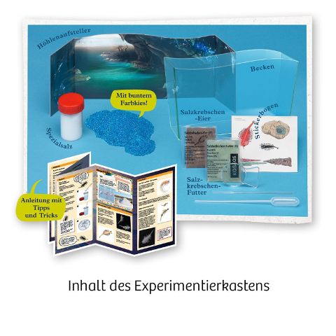 InsideView 2