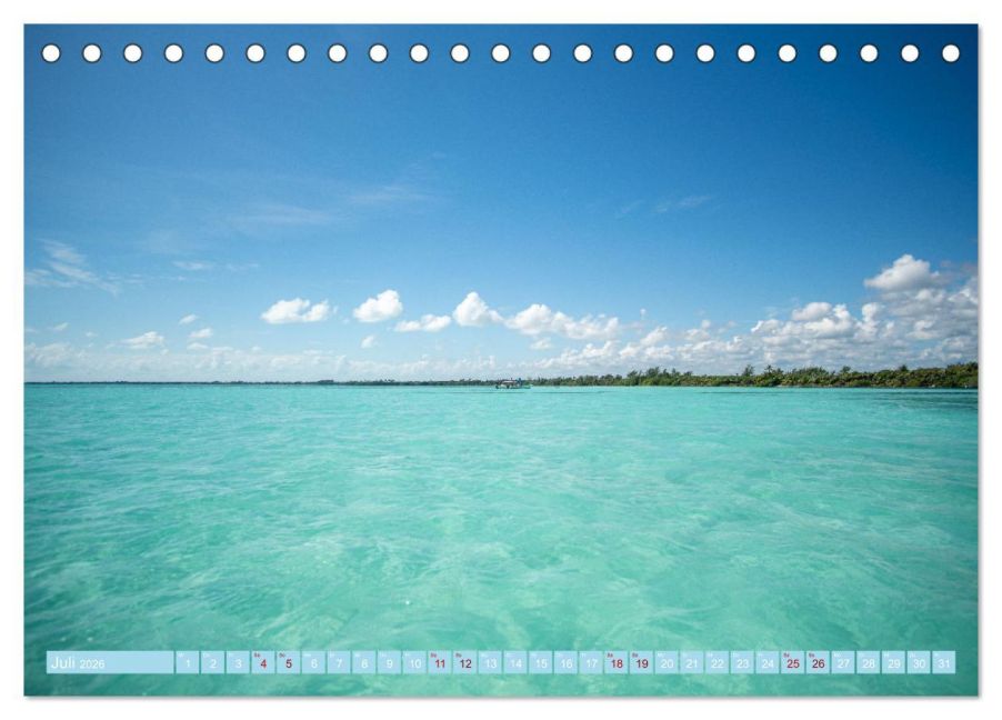 InsideView 12