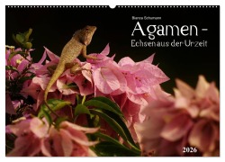 Cover-Bild zum Titel 'Agamen - Echsen aus der Urzeit (Wandkalender 2026 DIN A2 quer), CALVENDO Monatskalender' von 'Bianca Schumann'