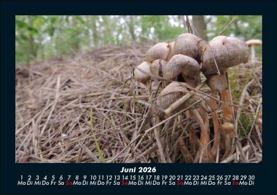 InsideView 10