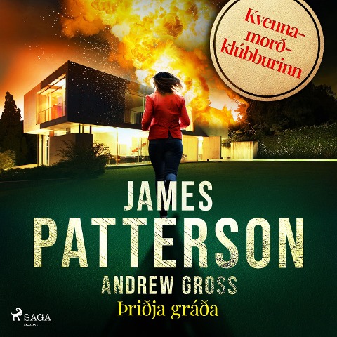 Þriðja gráða - Andrew Gross, James Patterson