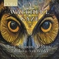 A Watchful Gaze - Harry/The Sixteen Christophers