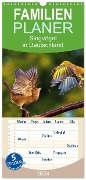 Familienplaner 2024 - Singvögel in Deutschland mit 5 Spalten (Wandkalender, 21 x 45 cm) CALVENDO - Lutz Klapp
