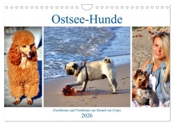 Cover-Bild zum Titel 'Ostsee-Hunde - Zweibeiner und Vierbeiner am Strand von Cranz (Wandkalender 2026 DIN A4 quer), CALVENDO Monatskalender' von 'Henning von Löwis of Menar'