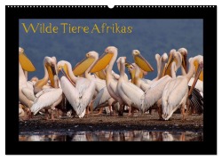 Wilde Tiere Afrikas (Wandkalender 2026 DIN A2 quer), CALVENDO Monatskalender - Uta Depner