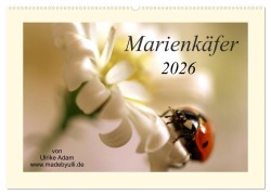 Cover-Bild zum Titel 'Marienkäfer / 2026 (Wandkalender 2026 DIN A2 quer), CALVENDO Monatskalender' von 'Adam, Ulrike Madebyulli. de'