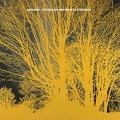 Cover-Bild zum Titel 'The Stars Are Indifferent To Astronomy' von 'Nada Surf'