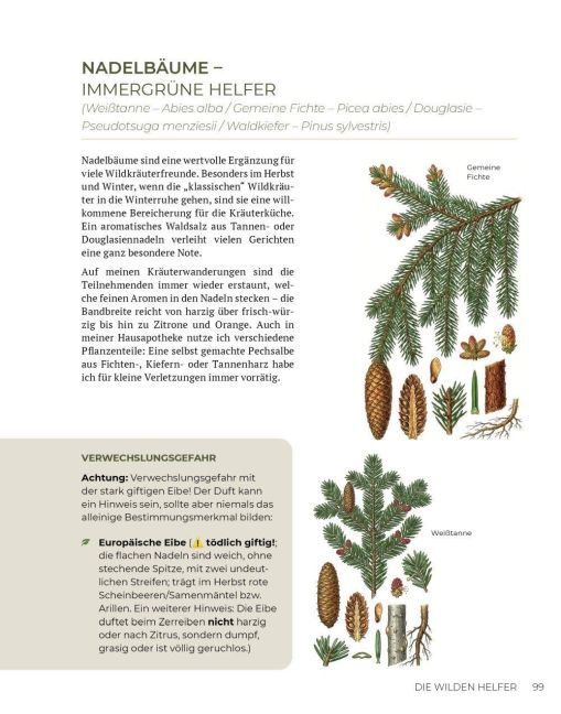InsideView 15