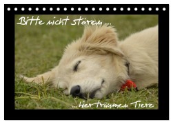 Bitte nicht stören... hier träumen Tiere (Tischkalender 2026 DIN A5 quer), CALVENDO Monatskalender - Krokotraene Krokotraene