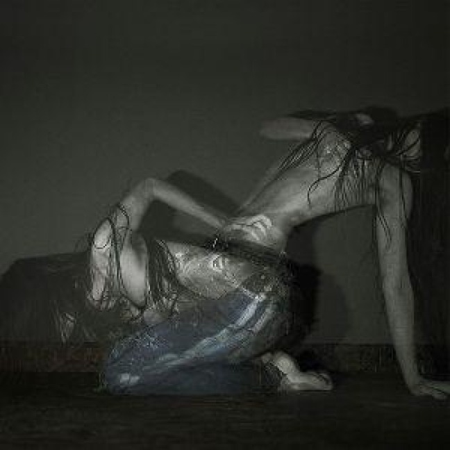 Something Is A Shell - Sofia Isella