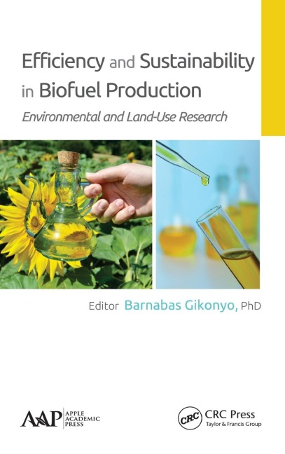 Efficiency and Sustainability in Biofuel Production - 