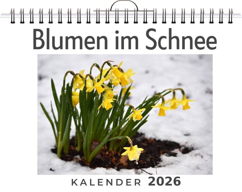 Blumen im Schnee - David Friedrich Blumen im Schnee - David Friedrich