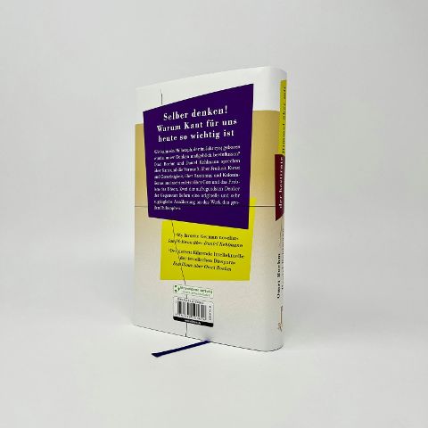 InsideView 6