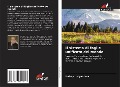 Cover-Bild zum Titel 'Il sistema di faglie unificato del mondo' von 'Valery Ustyantsev'