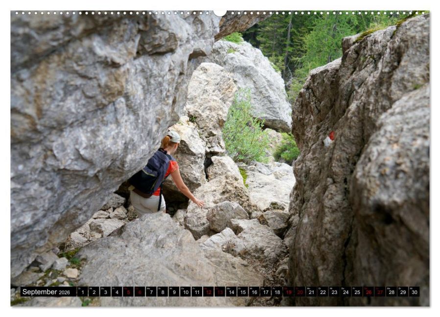 InsideView 14