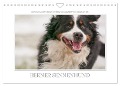 Emotionale Momente: Berner Sennenhund. (Wandkalender 2024 DIN A4 quer), CALVENDO Monatskalender - Ingo Gerlach GDT
