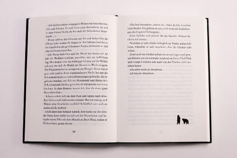 InsideView 6