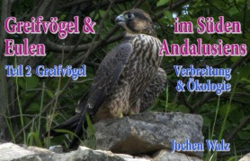 Cover-Bild zum Titel 'Greifvögel und Eulen im Süden Andalusiens Teil 2 Greifvögel' von 'Jochen Walz'