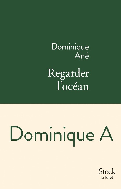 Regarder l'océan - Dominique A