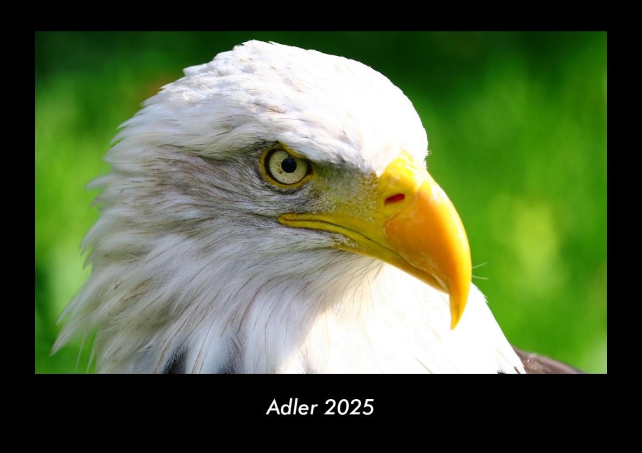 Adler 2025 Fotokalender DIN A3 - Tobias Becker