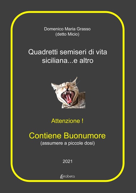 Quadretti semiseri di vita siciliana... e altro - Domenico Maria Grasso