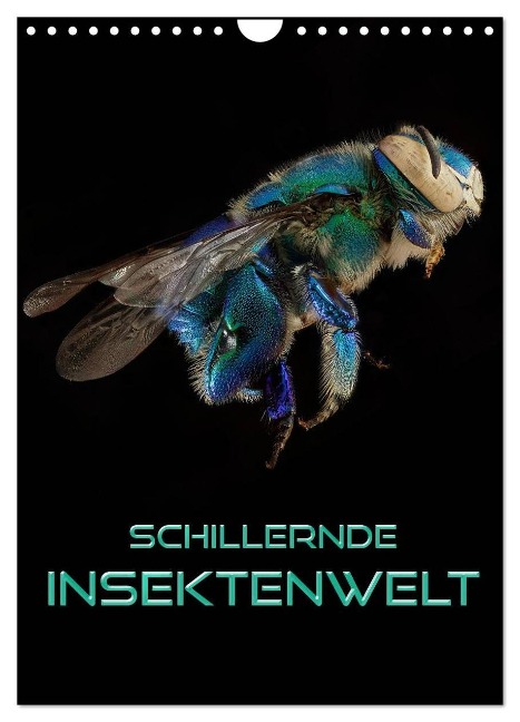 Schillernde Insektenwelt (Wandkalender 2025 DIN A4 hoch), CALVENDO Monatskalender - Renate Bleicher