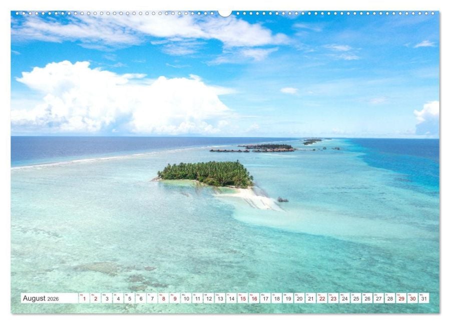InsideView 13