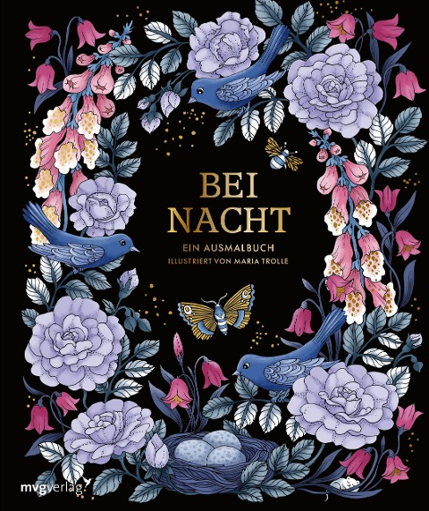 Bei Nacht - Ein Ausmalbuch - 