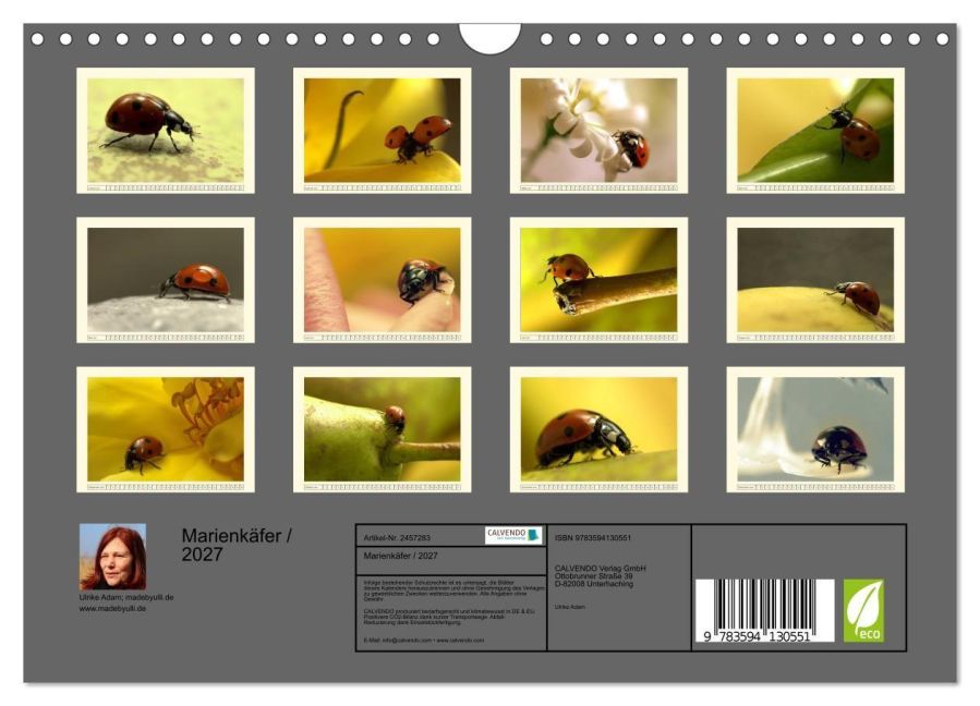InsideView 5