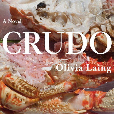 Crudo - Olivia Laing