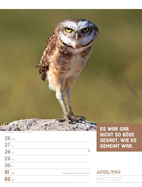 InsideView 21