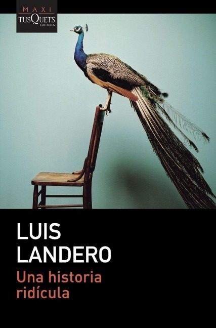 Una historia ridicula - Luis Landero