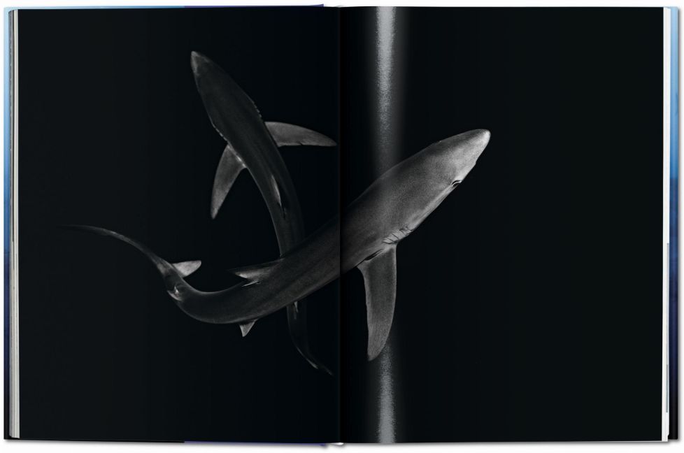 InsideView 10