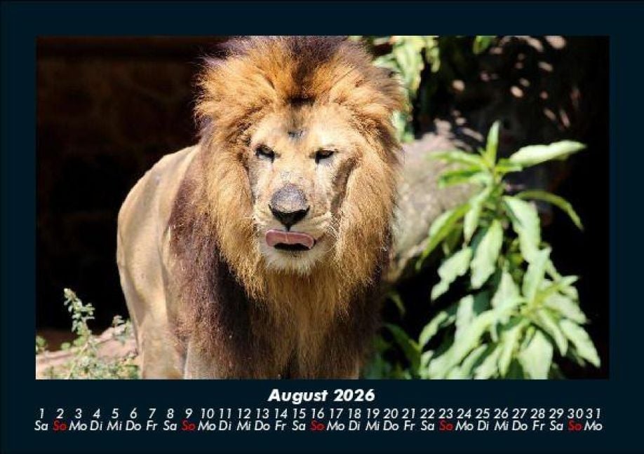 InsideView 12