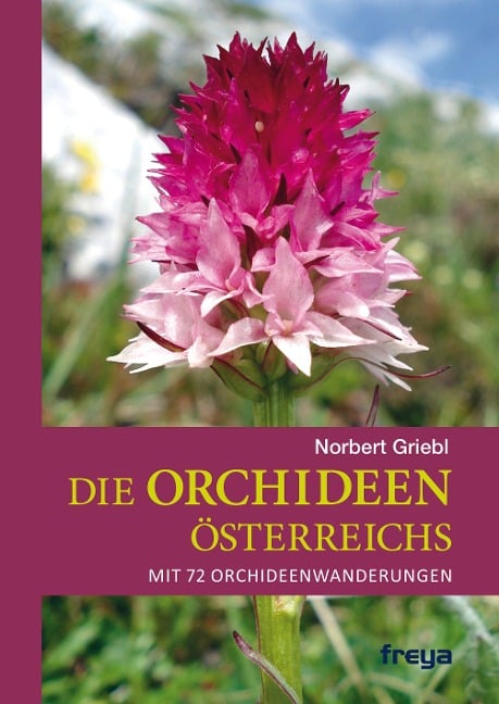 Die Orchideen Österreichs - Norbert Griebl