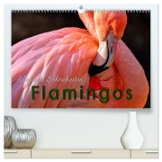 Cover-Bild zum Titel 'Flamingos - elegante Schönheiten (hochwertiger Premium Wandkalender 2026 DIN A2 quer), Kunstdruck in Hochglanz' von 'Peter Roder'