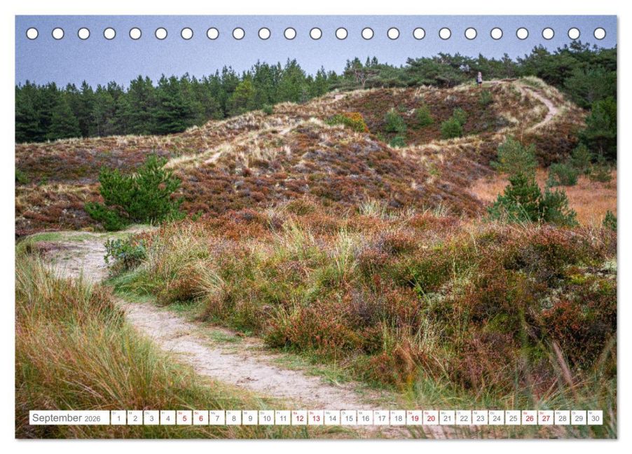 InsideView 14