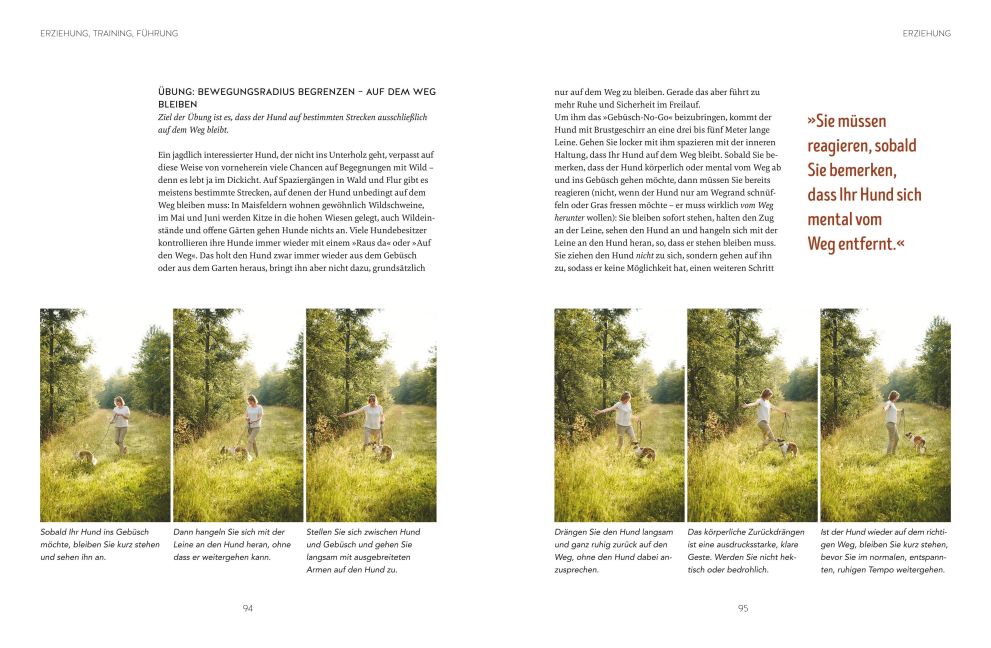 InsideView 6