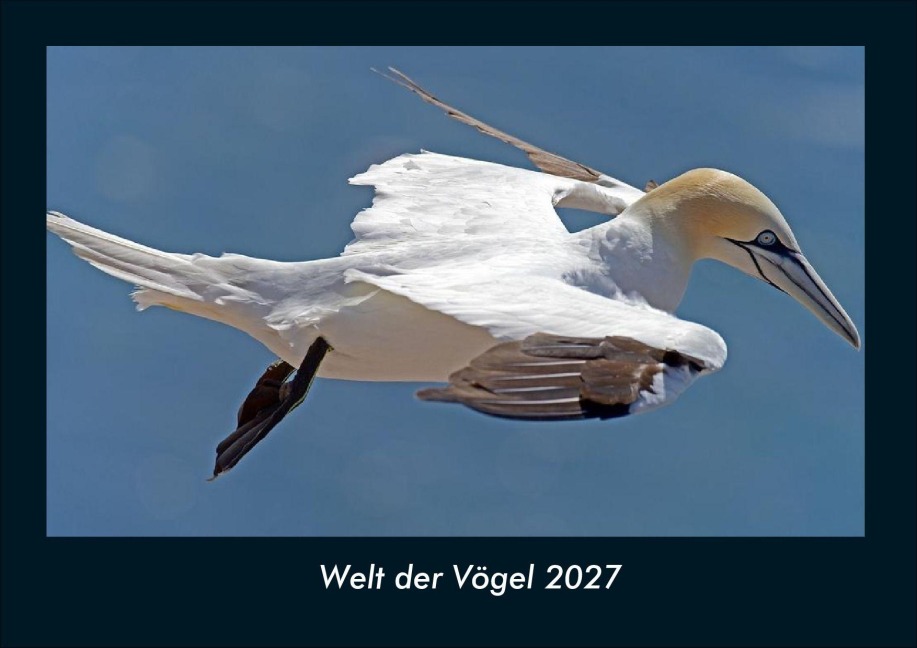 Welt der Vögel 2027 Fotokalender DIN A4 - Tobias Schmitt, Kevin Heber