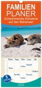 Familienplaner 2026 - Schwimmende Schweine auf den Bahamas! mit 5 Spalten (Wandkalender, 21 x 45 cm) CALVENDO - Elisabeth Stanzer