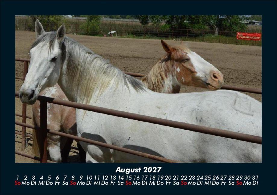 InsideView 12